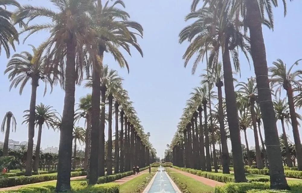 Faya Nova at Parc de la Ligue Arabe